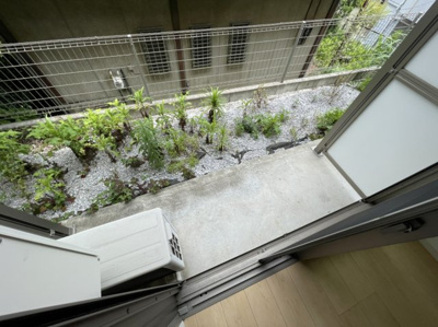 【その他】 | プラナス白楽