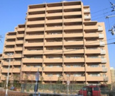 ディアエスタミオ舞子の画像