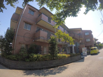 NLバルビゾンスカイの画像