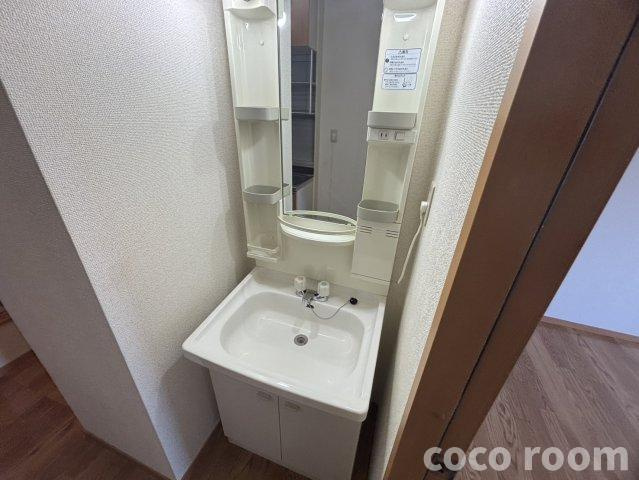 サンビレッジエリカC棟の洗面所