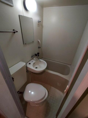 【洗面所】 | ブルーハイム富士塚