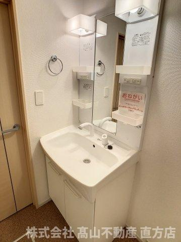 メゾンドリシュＡの洗面所