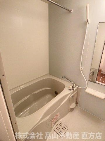 メゾンドリシュＡの浴室