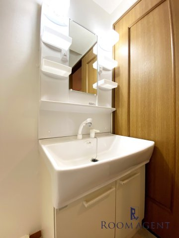 リアン東山の洗面所