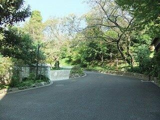 【周辺】 | 東急ドエルアルス音羽Ⅱ