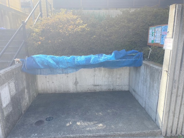 ラフィネのその他共用部分