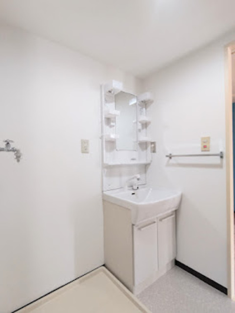 ベルデュールクスノキの洗面所