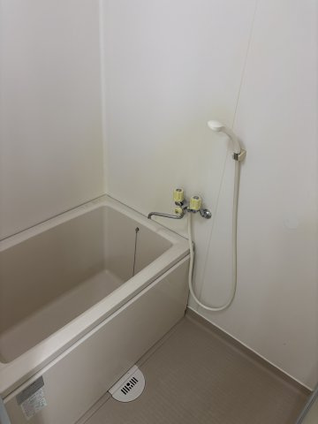 ベルデュールクスノキの浴室