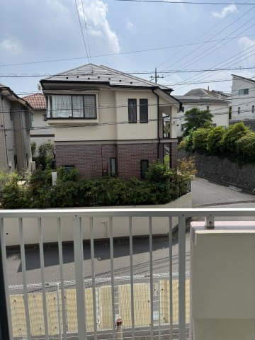 ベルデュールクスノキの展望
