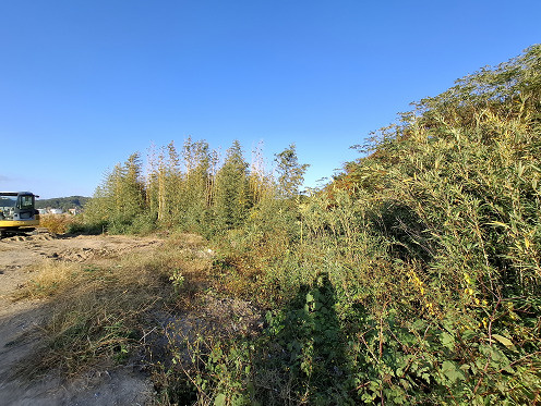 売土地　菊川市川上の外観|山林