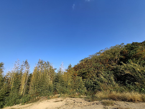 売土地　菊川市川上の外観
