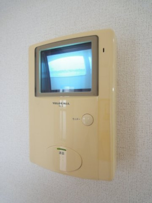 【セキュリティ】 | バウムガルトナー