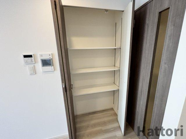 ルフォンプログレ南森町の収納