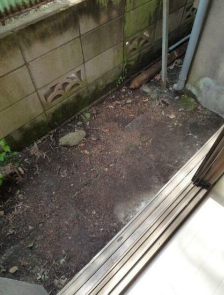 中野区大和町１丁目のアパートのバルコニー