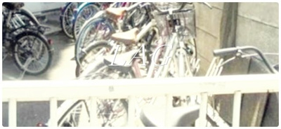 【その他】 | ハイネス要町