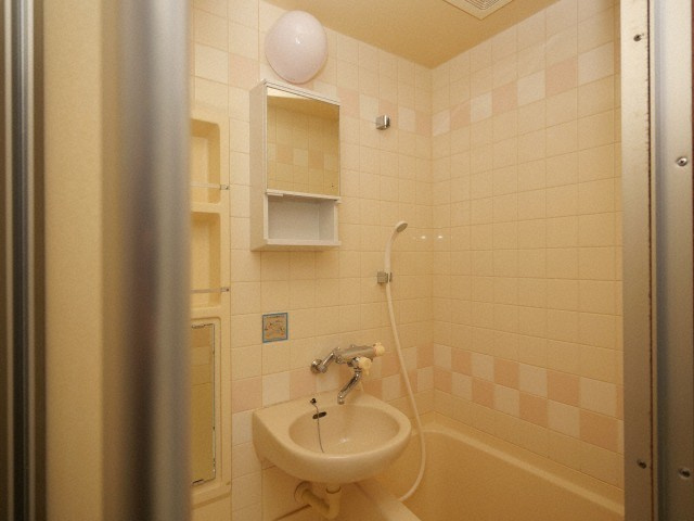 シャルマンフジ住吉弐番館の独立洗面台