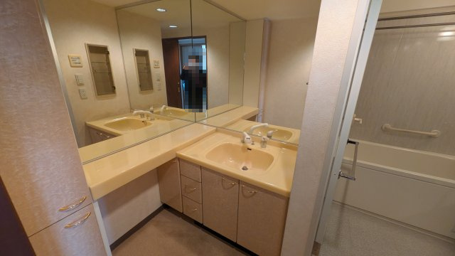 藤和シティホームズ梅林【6階】の洗面所