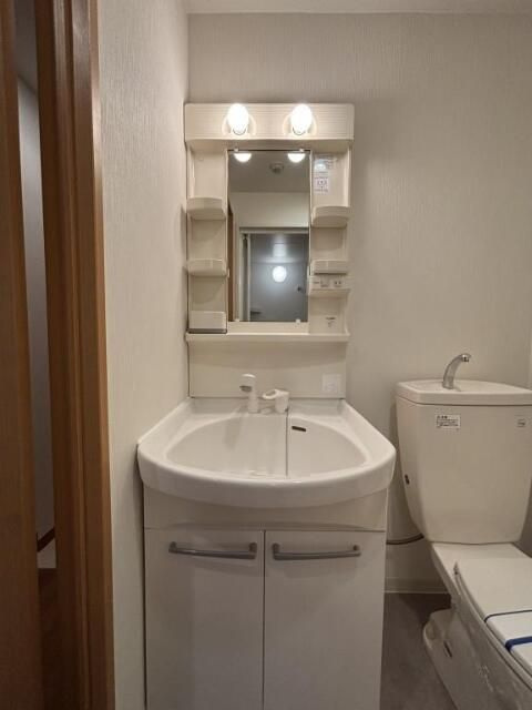 プロムナード岩楯の洗面所