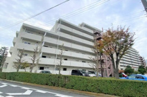 コスモ蕨の画像