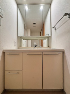 【独立洗面台】 | アクアウィング353 | 落ち着きとくつろぎを感じられる♪歯磨き粉が行方不明になるようなごちゃごちゃ感も解消。コーディネートされた空間で気持ちよく身だしなみを整えられます！！洗面台周りをすっきり綺麗に保つことが出来ます！！