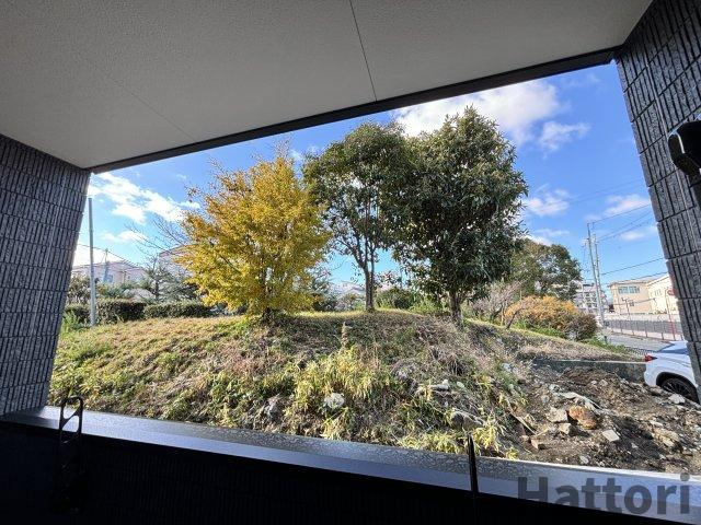 PARK HoKule'aの展望