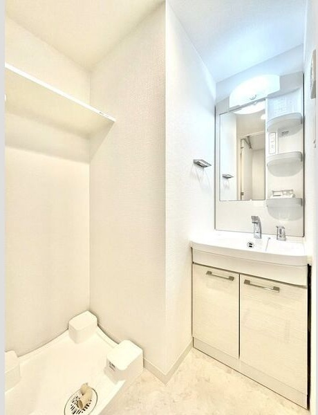 エスリード大須デュオの洗面所