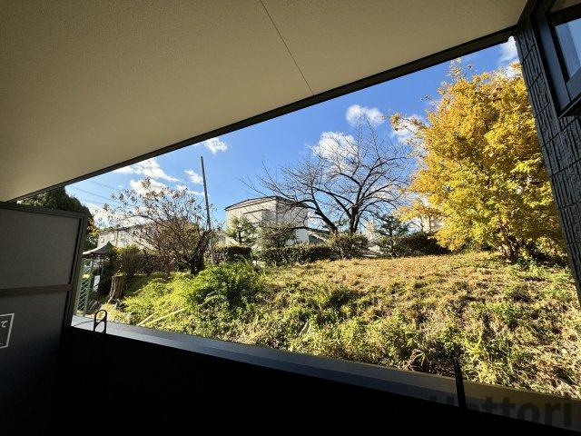 PARK HoKule'aの展望