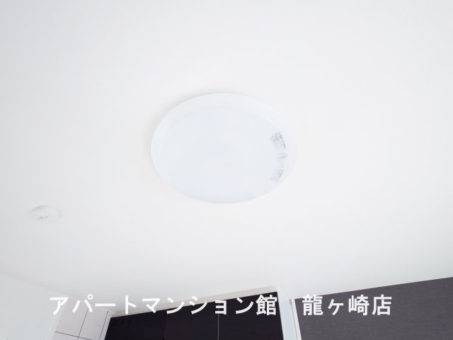 ロングパインのその他