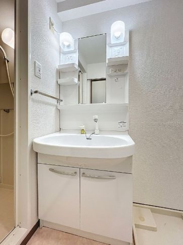 ブリヤン西川口の独立洗面台