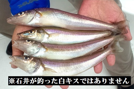 Fugu日和 横浜 川崎のシャーメゾンや賃貸は アーバン企画開発 賃貸shop