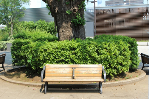 海老名市の公園のベンチ