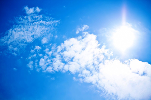 夏
