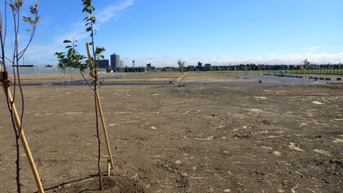 建築条件付き土地