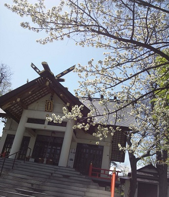 さくらの不動産_桜