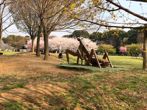 雑木林から原っぱ広場を眺める