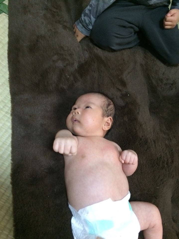 大阪市鶴見区 米田産婦人科のご紹介です 大阪市鶴見区 北摂で不動産売買でお悩みの方は株式会社seimuへ