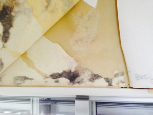 瑕疵担保責任を問われる雨漏り