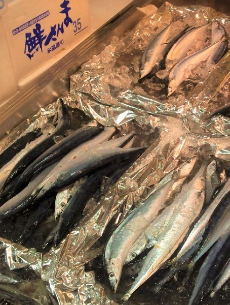 さくらの不動産_キテネ・吉本水産の秋刀魚