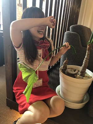 さくらの不動産_クワズイモちゃん