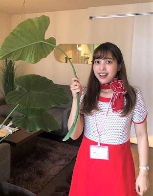 さくらの不動産_クワズイモちゃん