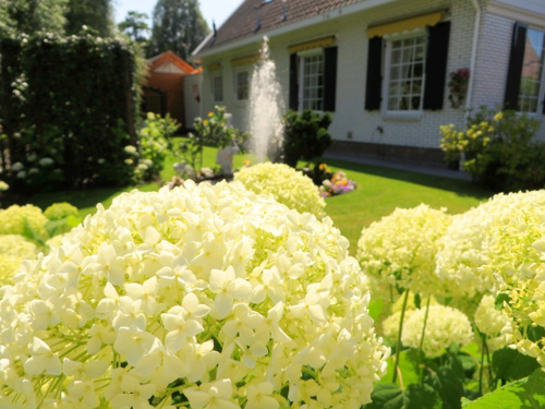 庭付き一戸建てのメリットデメリット