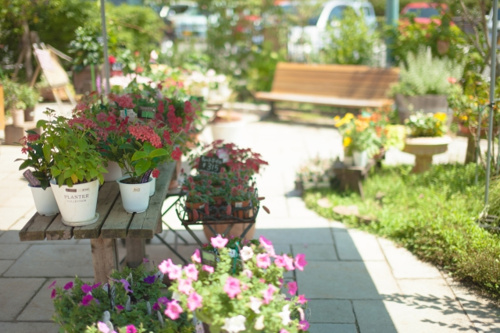 庭付き一戸建てのメリットデメリット