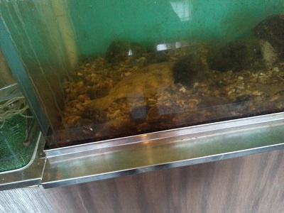 さくらの不動産_銭函ランチ