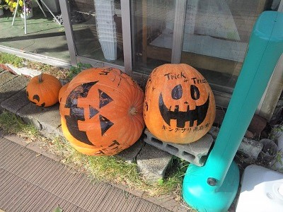 さくらの不動産_ハロウィンのプレゼント
