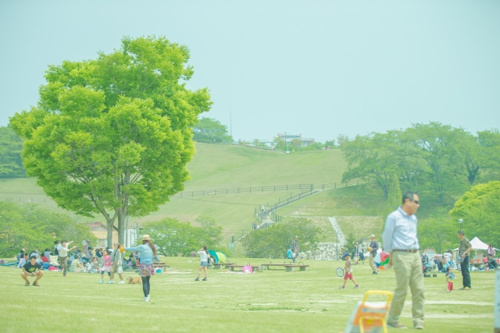 小平市の公園