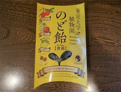 さくらの不動産_東大