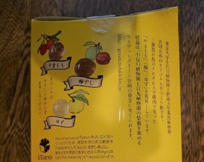 さくらの不動産_東大