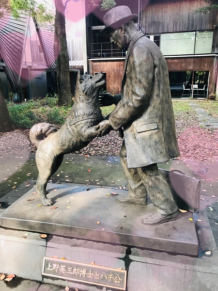 さくらの不動産_東大