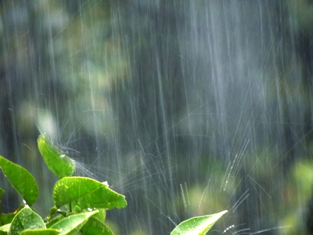 【大雨警戒レベルとは？】避難をするタイミングなどについてまとめの記事