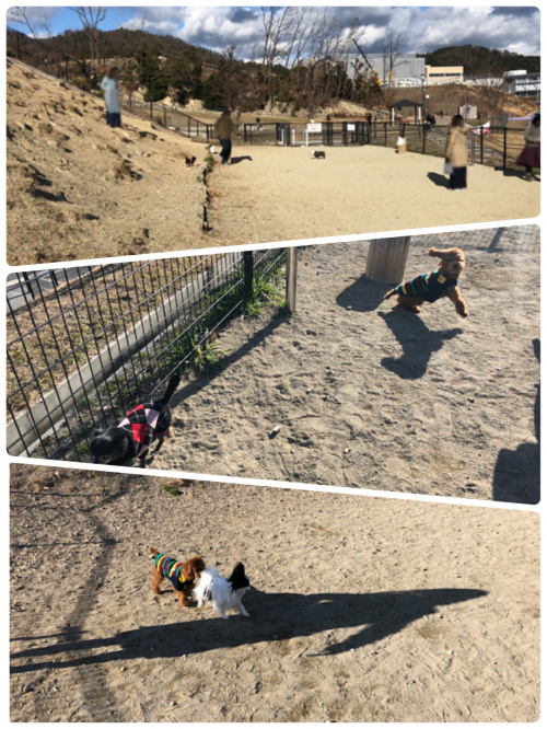 彩都西駅から徒歩１３分 彩都なないろ公園 ドッグラン 箕面 箕面市の不動産購入 売却は箕面土地建物へ